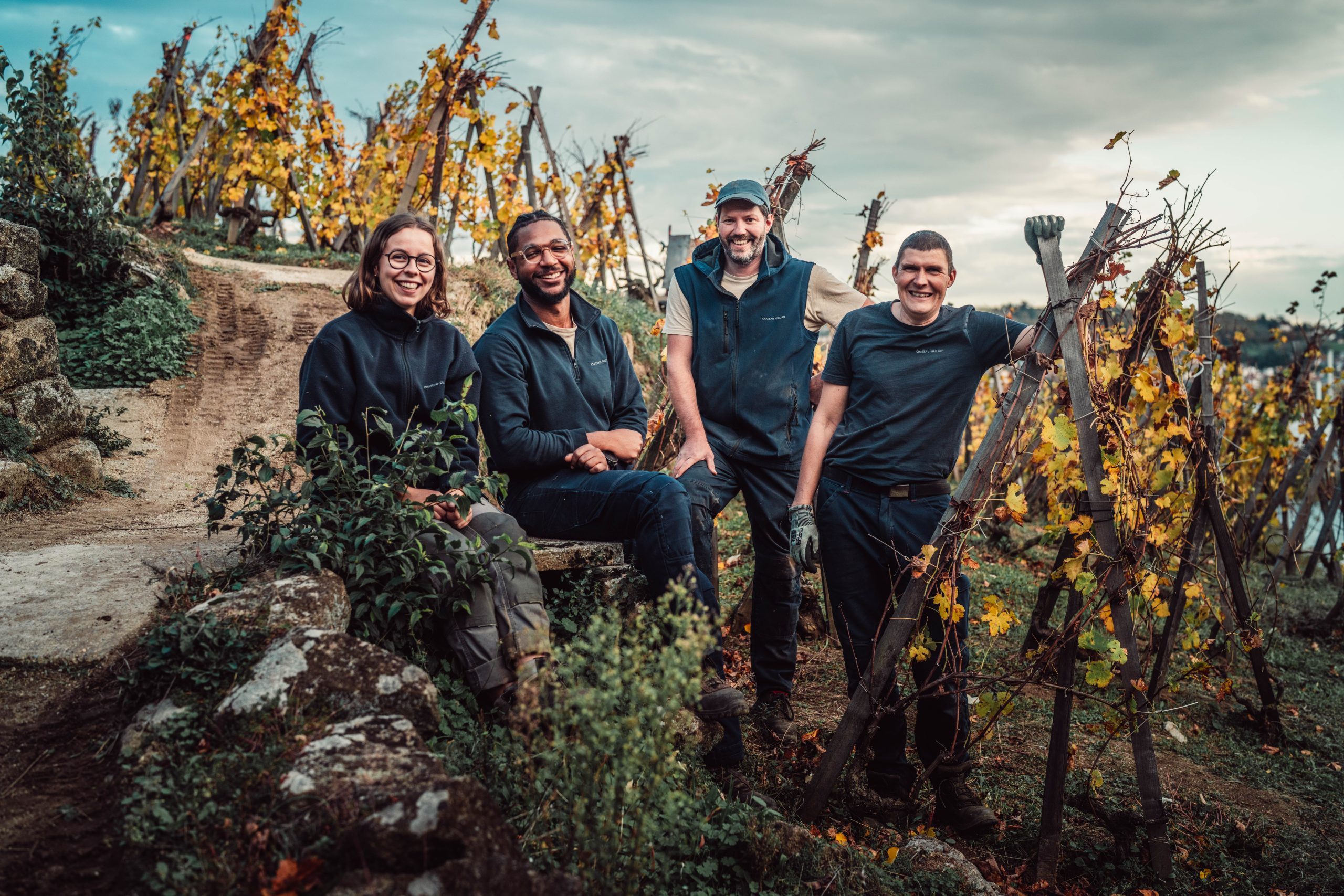 Four people in dark work vests stand smiling in a vineyard with golden autumn foliage and wooden training stakes visible around them.