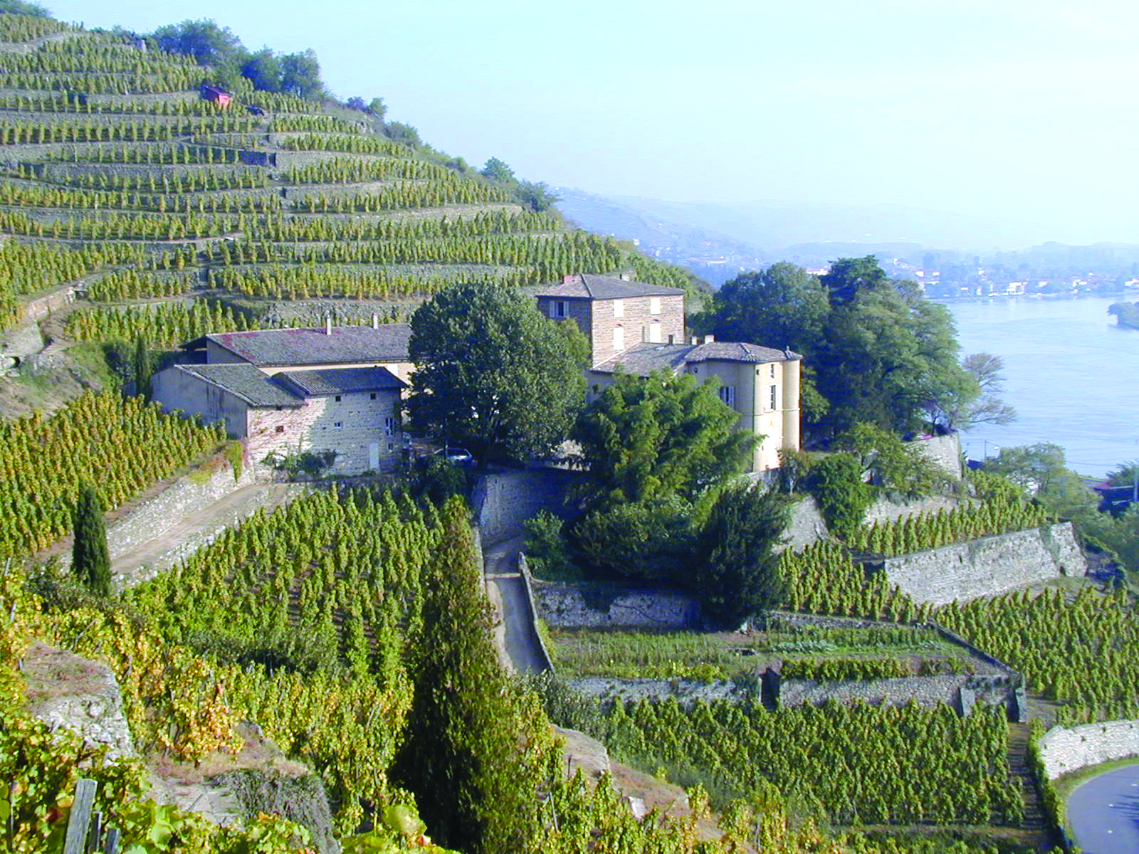 Terraced vineyard slopes surrounding a stone château tower on a hillside overlooking a river valley