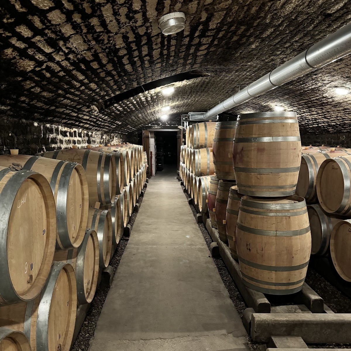 Rows of barrels beneath the low stone cellar ceiling at Domaine Dujac