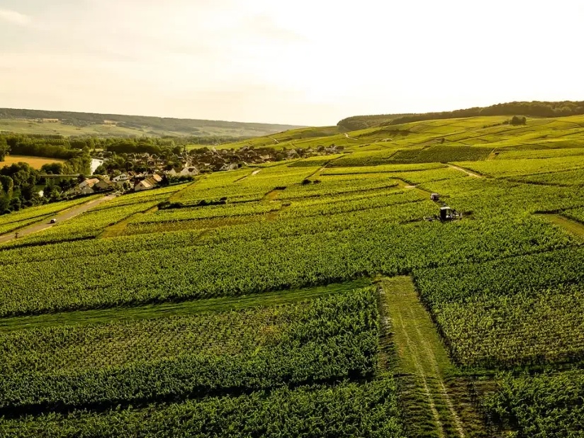 Soil to Sip Cumières Champagne Masterclass in NYC