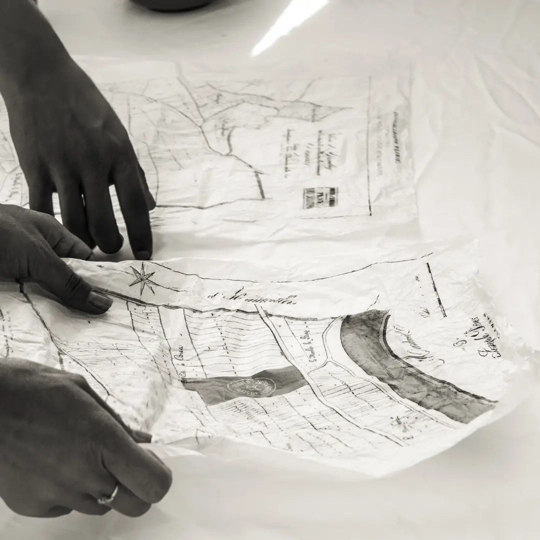 Hands examining an old vineyard parcel map.