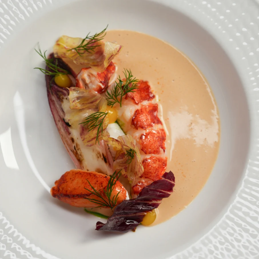 Aquavit’s lobster with red endive, smoked yogurt, lobster bisque and chicories.